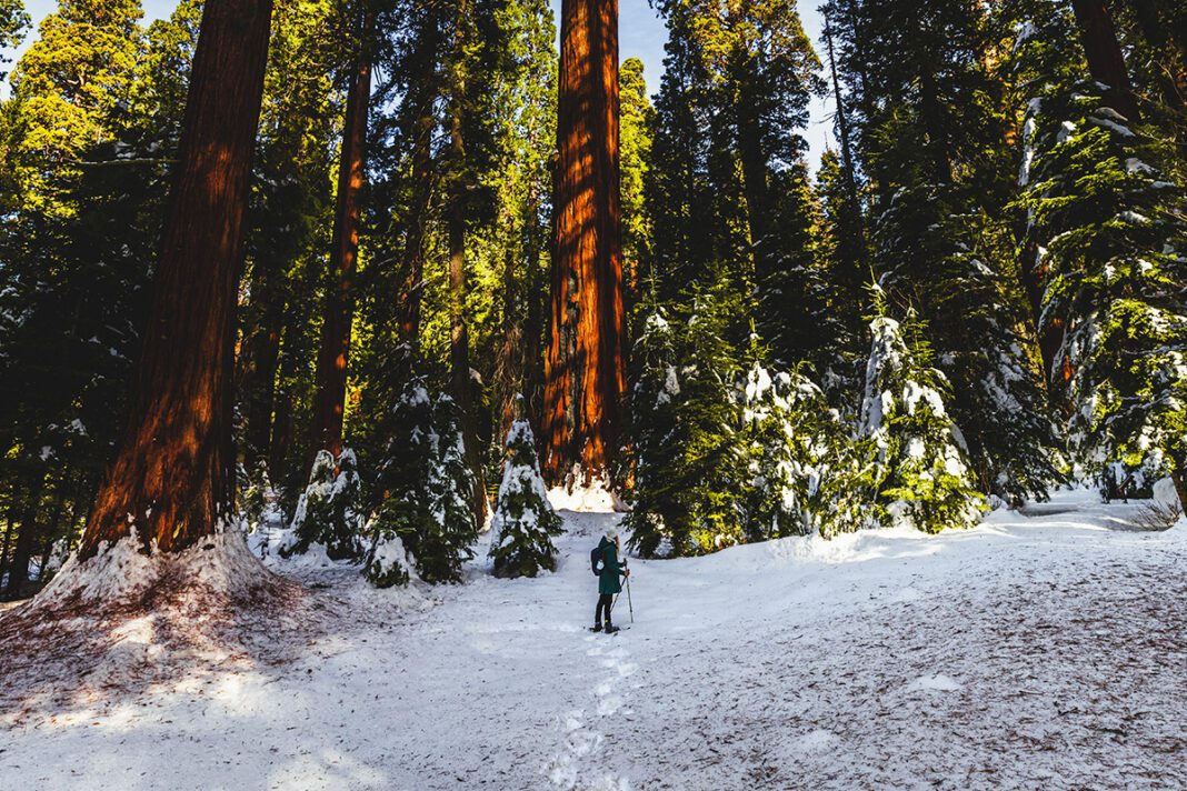 Fresno County: Not What You Thought, Just What You Needed